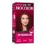 Tint Biocolor Mini Kit 6.66