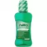 HILLO LIQUIDO ENXAGUANTE BUCAL HORTELA 250 ML x 1